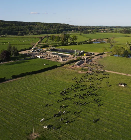 Overview of farm and cows photograph